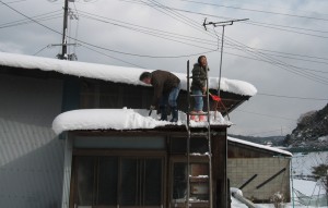 YoshinoOoyuki